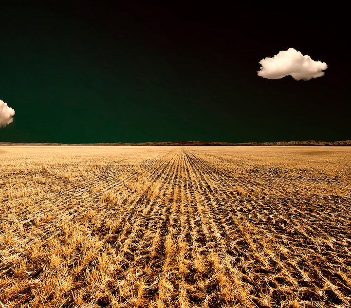 Art of Farmland: A Journey into Abstract Realism | Posted by CJWHO.com