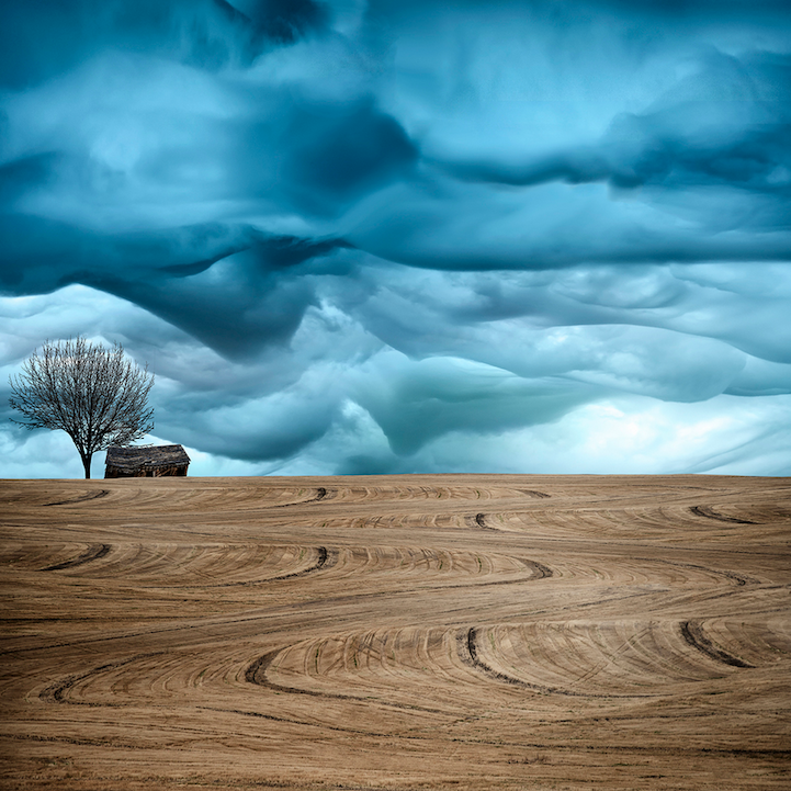 Art of Farmland: A Journey into Abstract Realism | Posted by CJWHO.com