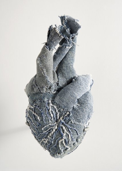 Anatomical Denim | posted by moshita.org